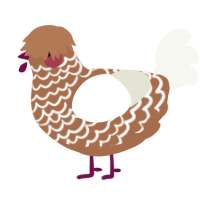 A brown and white chicken with a lace pattern