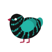 Biol, a black and turquoise chicken with a bar pattern