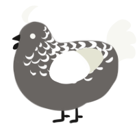 A grey and white chicken with a half-lace pattern