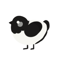 A white and sable chicken with a head pattern