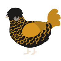 A sable and ochre chicken with a lace pattern