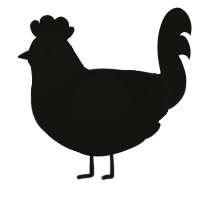 A black chicken with a head pattern