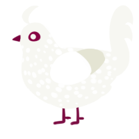 A white chicken with a speckle pattern