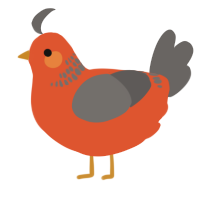 A vermilion and grey chicken with a neck-band pattern