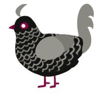 A black and ash chicken with a lace pattern