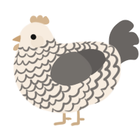 A cream and grey chicken with a lace pattern