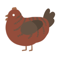 A russet and bark chicken with a half-bar pattern