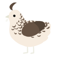 A cream and bark chicken with a half-lace pattern