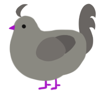A ash and grey chicken