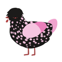 A sable and pink chicken with a speckle pattern