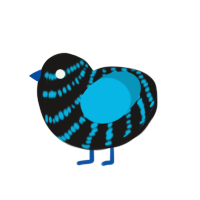 (unnamed), a sable and cerulean chicken with a bar pattern