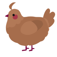 A brown chicken with a head pattern