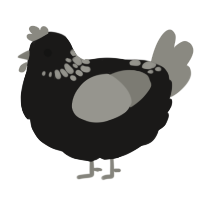 A sable and ash chicken with a neck-speckle pattern