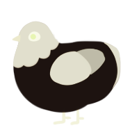 A sable and silver chicken with a head pattern
