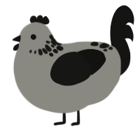 A ash and black chicken with a neck-speckle pattern