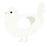 A white chicken with a lace pattern