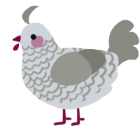 A mist and ash chicken with a lace pattern