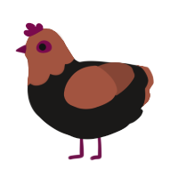 A sable and russet chicken with a head pattern