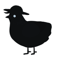 A black chicken with a neck-speckle pattern