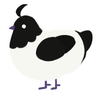 A white and black chicken with a head pattern