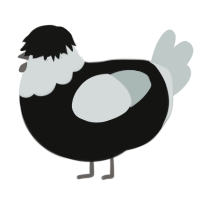 A black and silver chicken with a head pattern