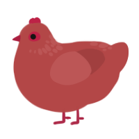 A red chicken with a neck-speckle pattern