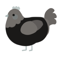 A sable and grey chicken with a head pattern