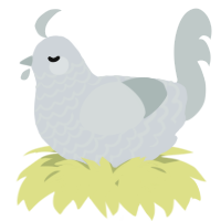A mist and silver chicken with a lace pattern