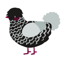 A sable and silver chicken with a lace pattern
