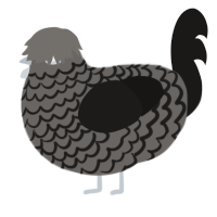 A grey and sable chicken with a lace pattern