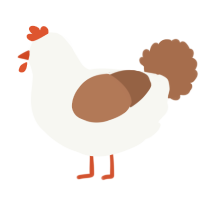 A white and brown chicken