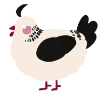 A cream and black chicken with a neck-band pattern
