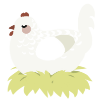 A white chicken with a half-lace pattern