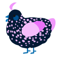 A tumblr and lavender chicken with a speckle pattern