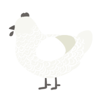 A white chicken with a double-lace pattern
