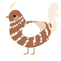 A brown and cream chicken with a bar pattern