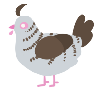 A mist and bark chicken with a half-bar pattern