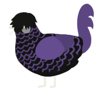 A black and overcast chicken with a lace pattern