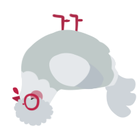 A silver and mist chicken with a head pattern