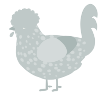 A silver chicken with a speckle pattern