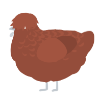 A russet chicken with a half-lace pattern