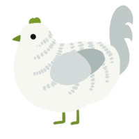 A white and silver chicken with a half-bar pattern