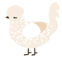 A cream chicken with a speckle pattern
