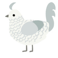 A white and silver chicken with a lace pattern