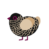 Dani, a black and bark chicken with a head pattern