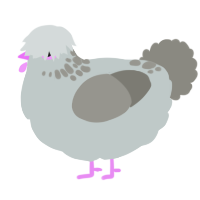 A silver and ash chicken with a neck-speckle pattern