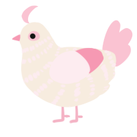 A cream and rose chicken with a bar pattern
