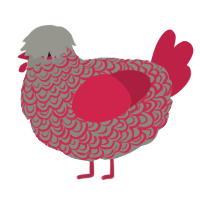 A ash and crimson chicken with a double-lace pattern