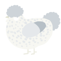 A white and mist chicken with a speckle pattern