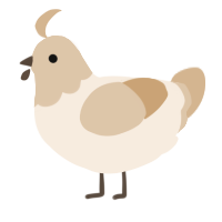 A cream and beige chicken with a head pattern